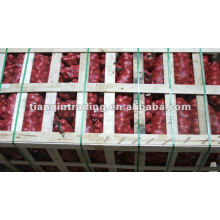 2012 Chinese Red onion Hot Sale